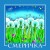 Смеричка - Червона рута